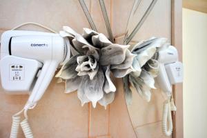 Holiday house with a swimming pool Basina, Hvar - 8731