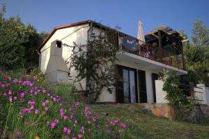 Apartments with a parking space Zavala, Hvar - 8706