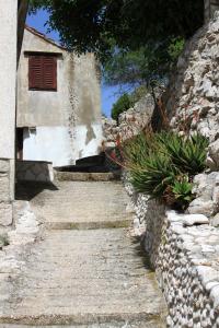 Seaside secluded apartments Cove Pobij Hvar 8702