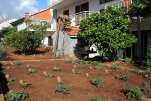 Apartment Jelsa 8765b