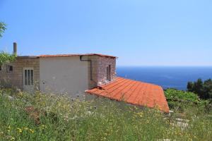 Studio Sveta Nedilja 8792a