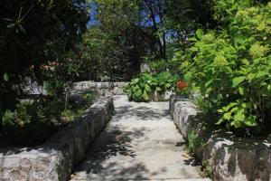 Apartments by the sea Cavtat, Dubrovnik - 8827