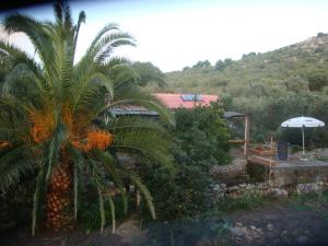 Seaside secluded apartments Cove Krsovica - Telascica, Dugi otok - 11001