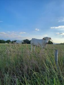 Ô ptit gîte dOgenne