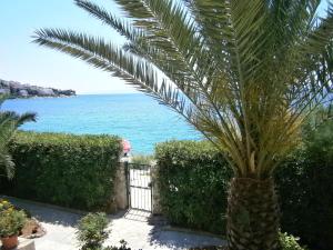 Apartments by the sea Mavarstica, Ciovo - 11102