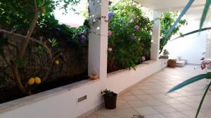 Apartments and rooms with parking space Dubrovnik - 11207