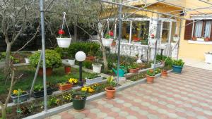 Apartments by the sea Kozino, Zadar - 11169