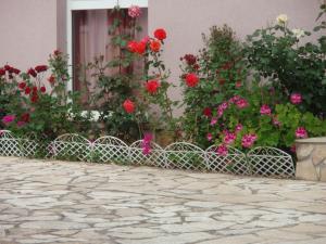 Apartments by the sea Orebic, Peljesac - 11182