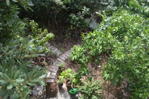 Apartment Makarska 11361b