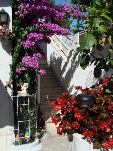 Apartment Jadrija 11356a