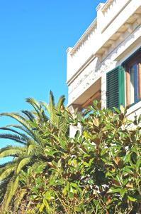 Apartments with a parking space Sumartin, Brac - 11387