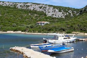 Secluded fishermans cottage Cove Kobiljak, Pasman - 11391