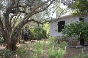 Secluded fishermans cottage Cove Nevidjansko Polje, Pasman - 11392