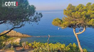 Villas A couper le souffle Magnifique Villa sur l'eau : photos des chambres