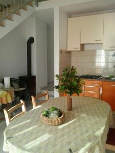 Seaside secluded apartments Cove Rapak, Hvar - 8767