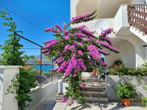 Apartments by the sea Arbanija, Ciovo - 11321