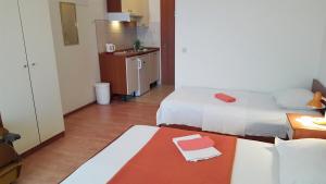 Apartments with parking space Gradac, Makarska - 11332