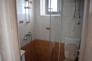 Studio Novalja 6491a