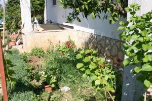 Apartment Sukosan 10418b