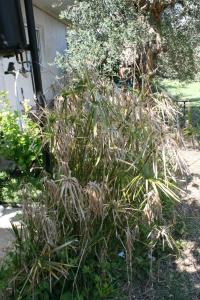 Apartment Sukosan 10418b