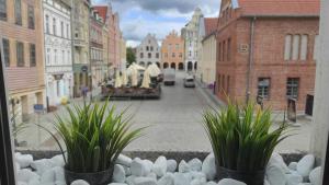 Apartament Hansa Klossa