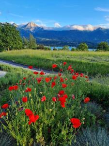 Ferienwohnungen Made for better days MONFREDA