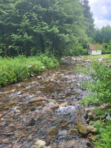 Dom Bystrá pod Chopkom & wellness