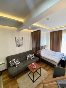 Apartman Milosavljevic-President Kop