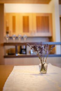 Luxury apartments Prežin 