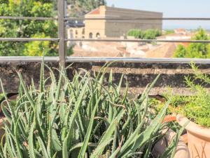 Appartements Le Rooftop - Vue incroyable sur le Theatre Antique : photos des chambres