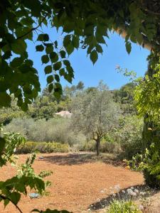 Maisons de vacances TRES AGREABLE MAISON ENTRE VERDON ET SAINT-TROPEZ : photos des chambres