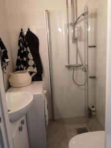 Quality apartments in city center