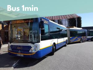 Appartements Ideal couple Jacuzzi et jolie cour interieure : photos des chambres