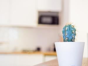 Le Terracotta - Appartement centre ville avec balcon