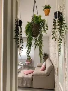 Aire de Sanabria Puebla - 埃尔蓬特