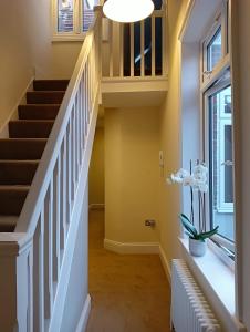 Catherine Street Apartments