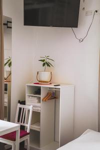 AvocadoHouse2VistaTerme