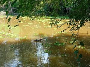 El Cielo Biohospedaje - Refugio Sostenible en la Naturaleza