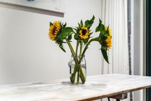 Penthouse at the Chocolate Box