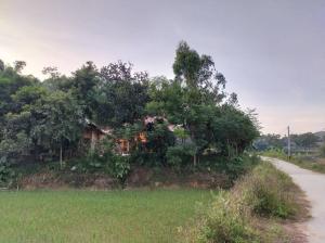 Xuân nghi homestay