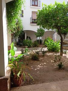 Piso Ribera del Marisco