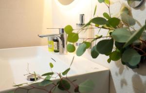 Apartments villa Ladini