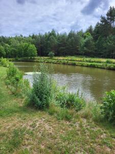 Leśniewo Czarna Góra