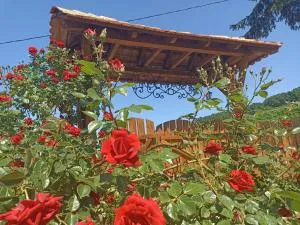 Ranč Sretenović - Mionica