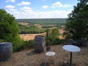 Maisons de vacances Charmant gite Haut-Marnais : photos des chambres