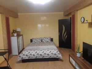 Apartament in centrul Iasului (Lapusneanu)