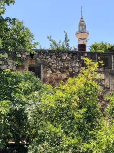 Mhna guest house بيت الضيافة الريفي