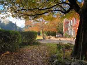 Maisons d'hotes La Belle Eco : photos des chambres