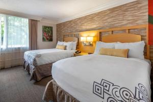 Double Room with Two Double Beds - Disability Access/Non-Smoking room in Best Western Plus University Inn