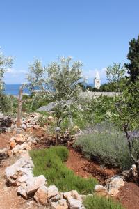 Apartment Mali Losinj 7879b